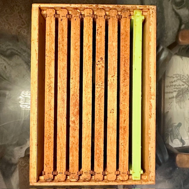 Size and Space (Because Bees Care More Than You Think)