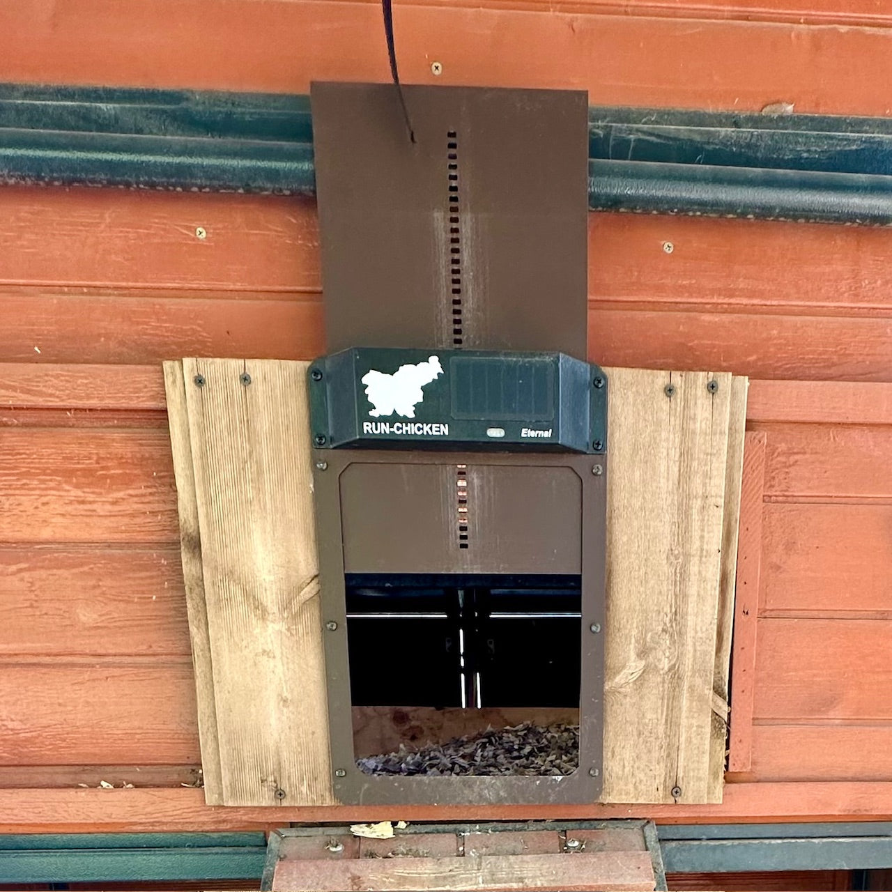 Built Once, Works Daily: A Chicken Setup That Carries Its Own Weight