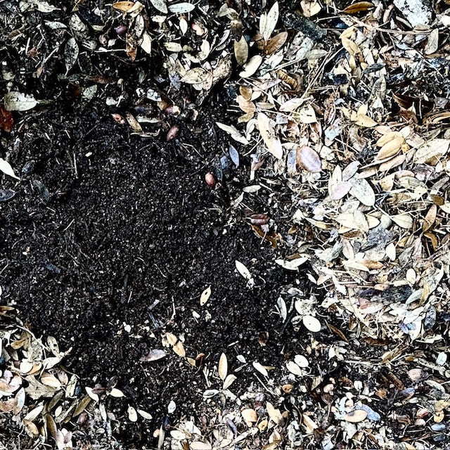 Compost, Without the Fuss