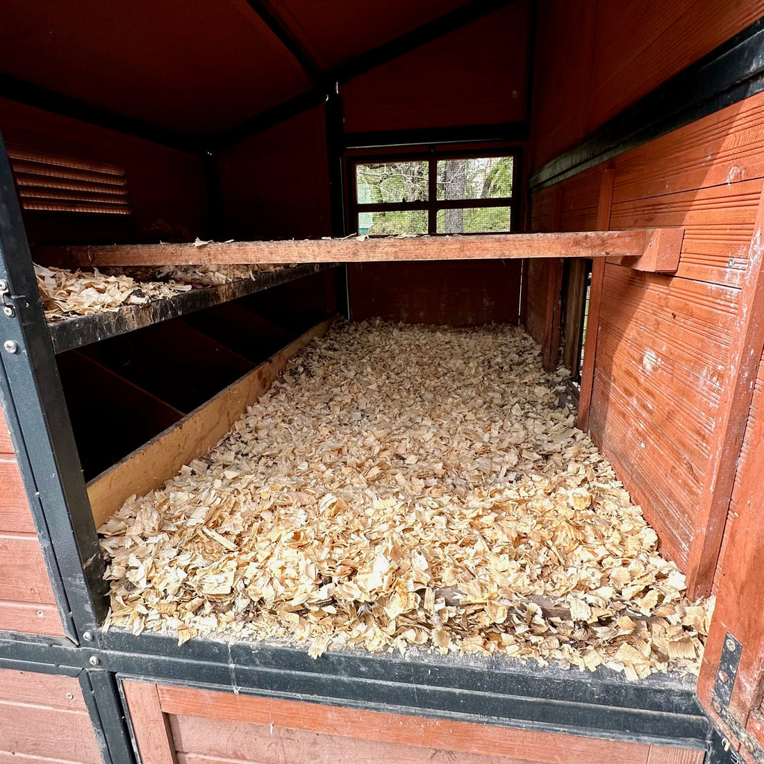 Clean Enough to Work: Finding a Coop System You’ll Actually Keep Up With