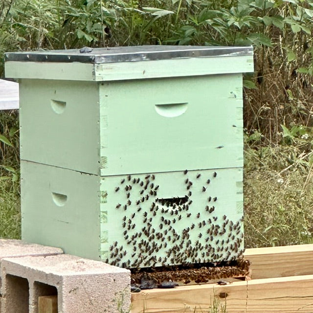 What the Hive Tells You When You Just Walk By