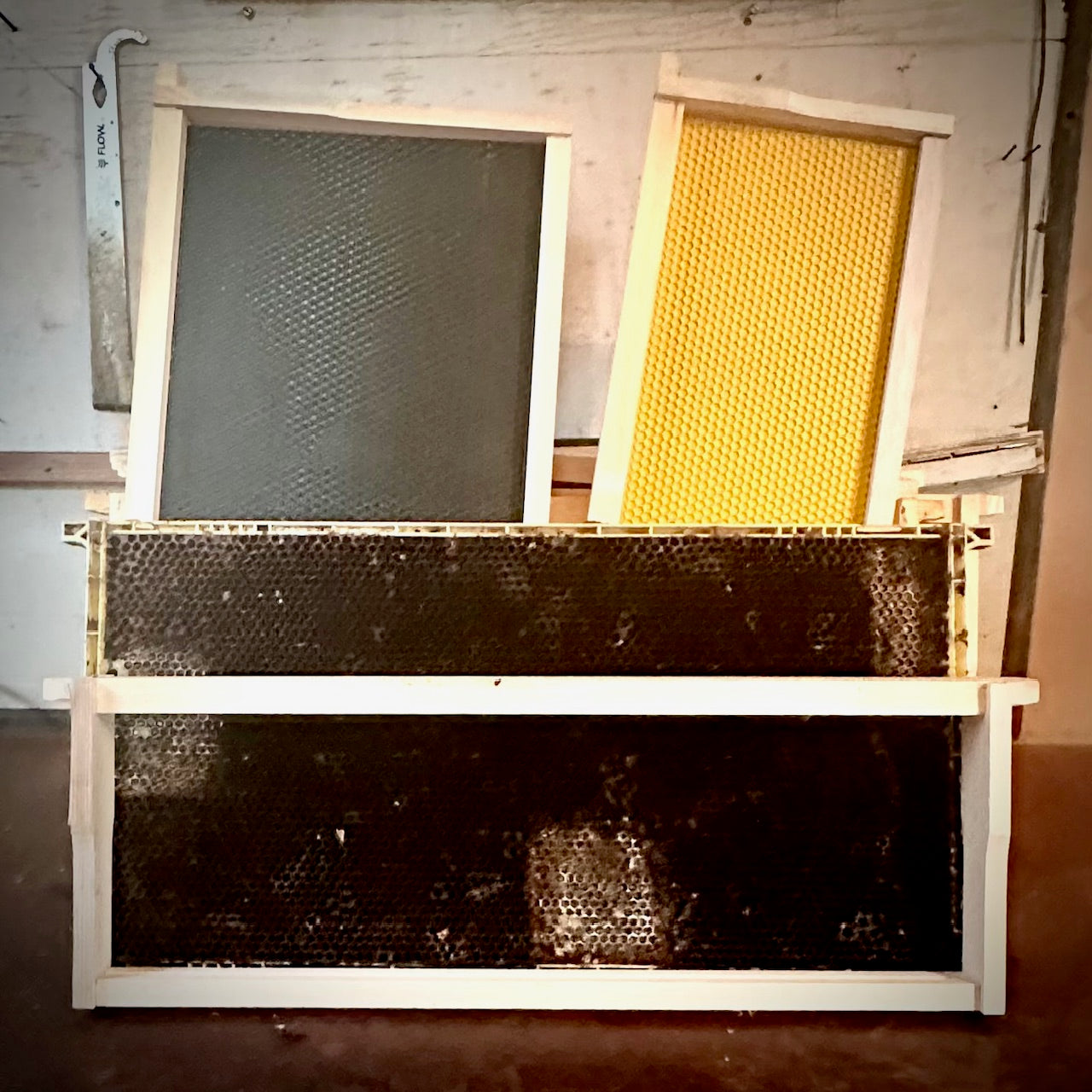 Build for Growth First: Rethinking My Brood Boxes