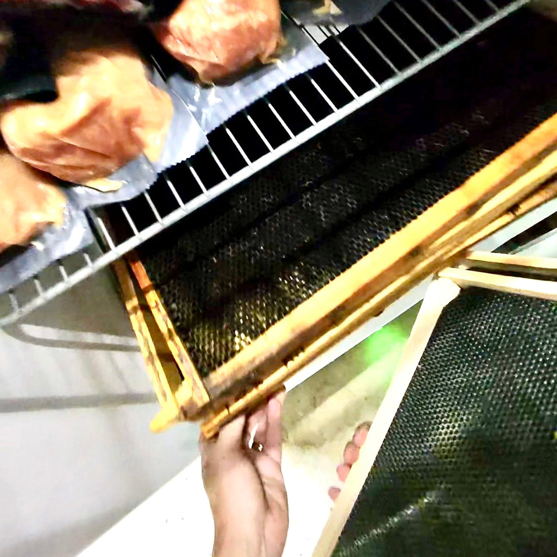 In Beekeeping, a Freezer Is Your Friend