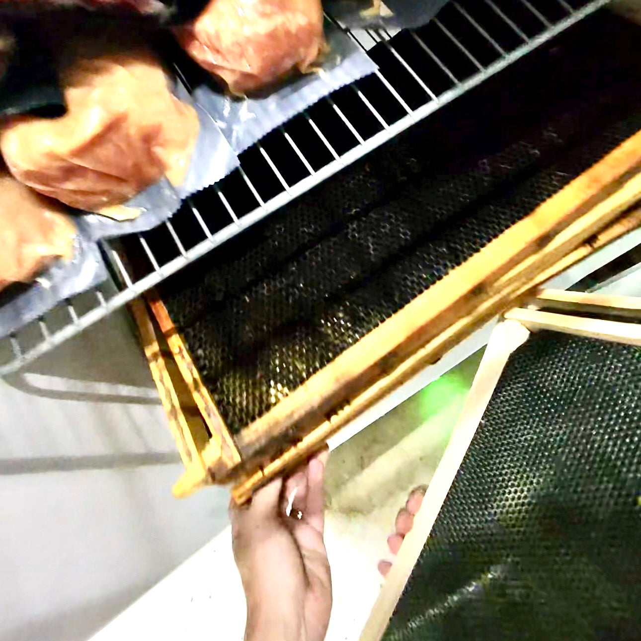 In Beekeeping, a Freezer Is Your Friend