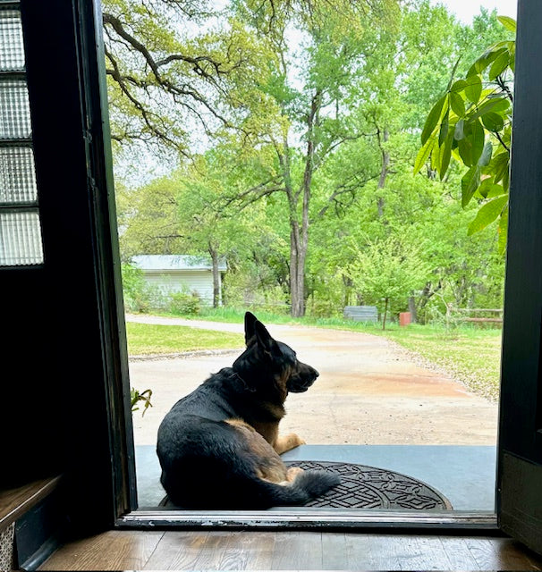 Let the Fresh Air In