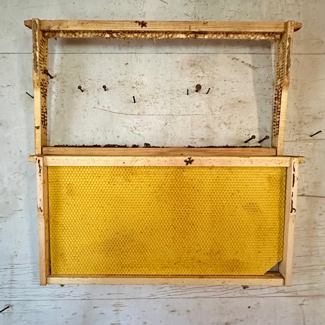 Foundation or Not: What I Got Wrong About Wax