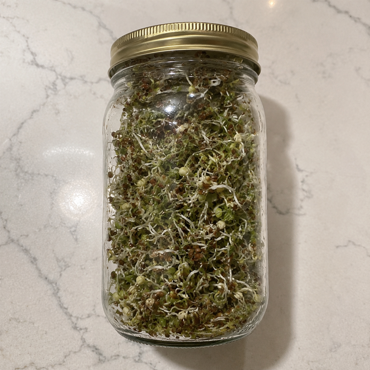The One Thing I Know I Can Grow Every Time