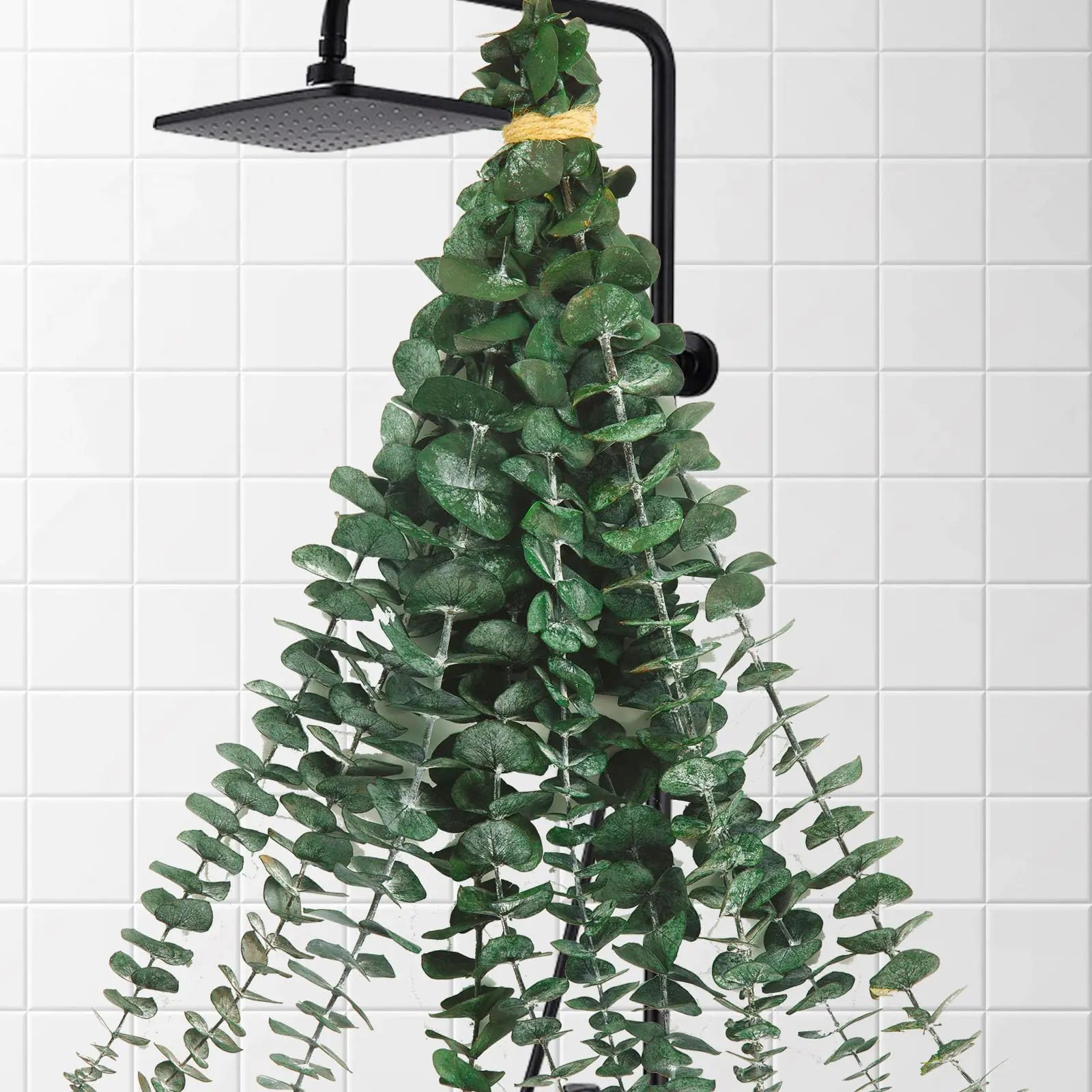 Preserved Eucalyptus Shower Bundle — Set of 10