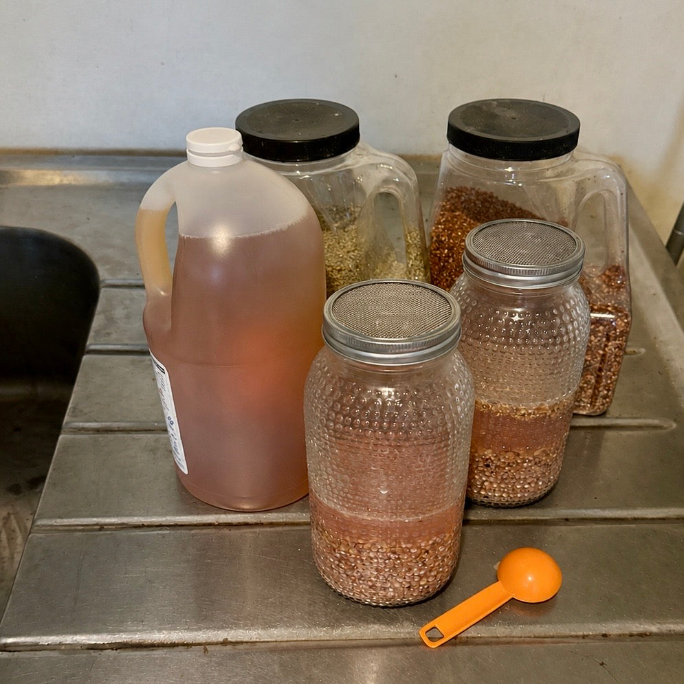 Fermented Chicken Feed Field Card