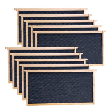 Deep Hive Frames with Wax Foundation, Black (10 Pack)